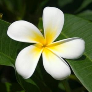 Meet your Posher, Jodie